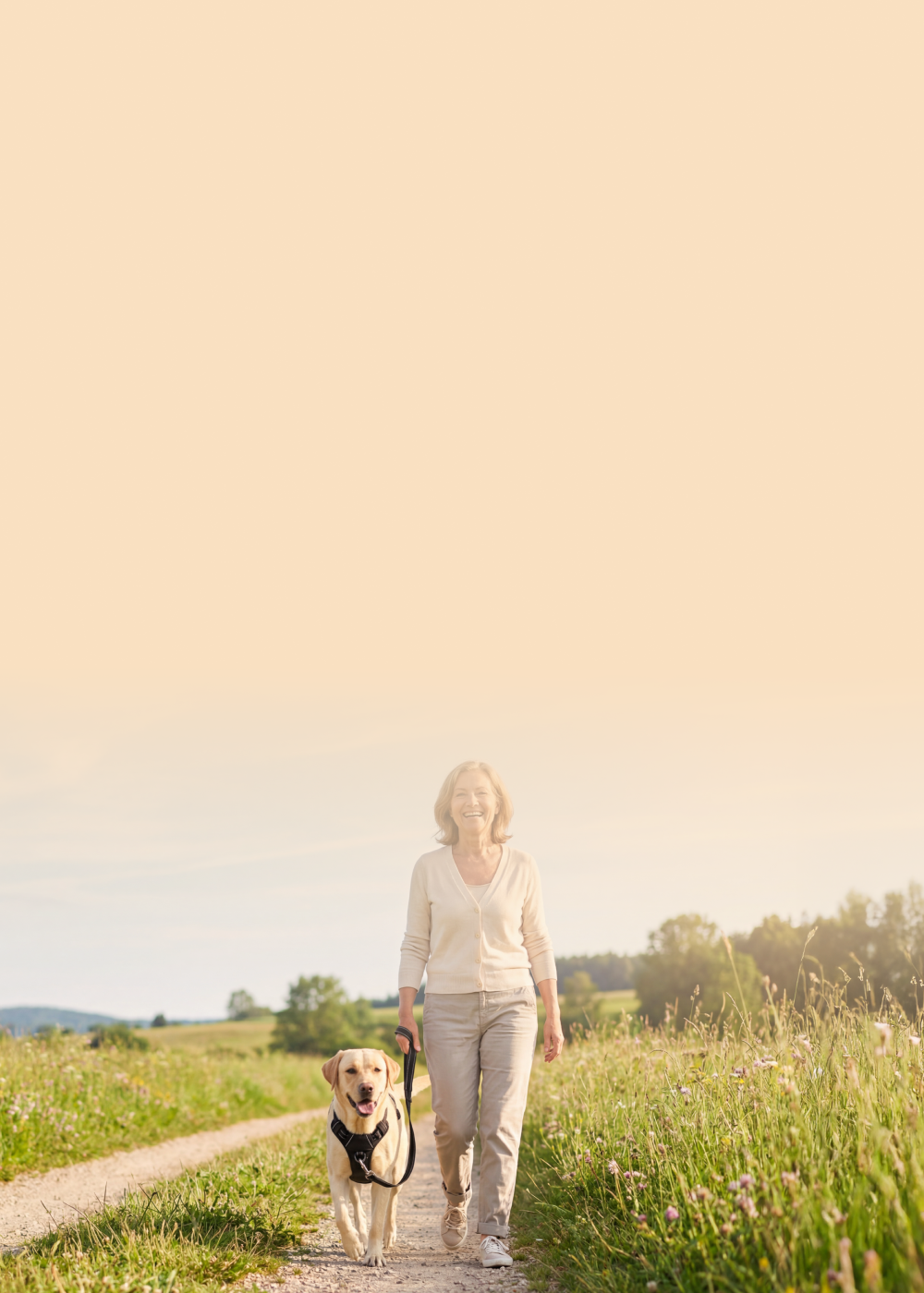 🐰 OSTER-AKTION 🐣