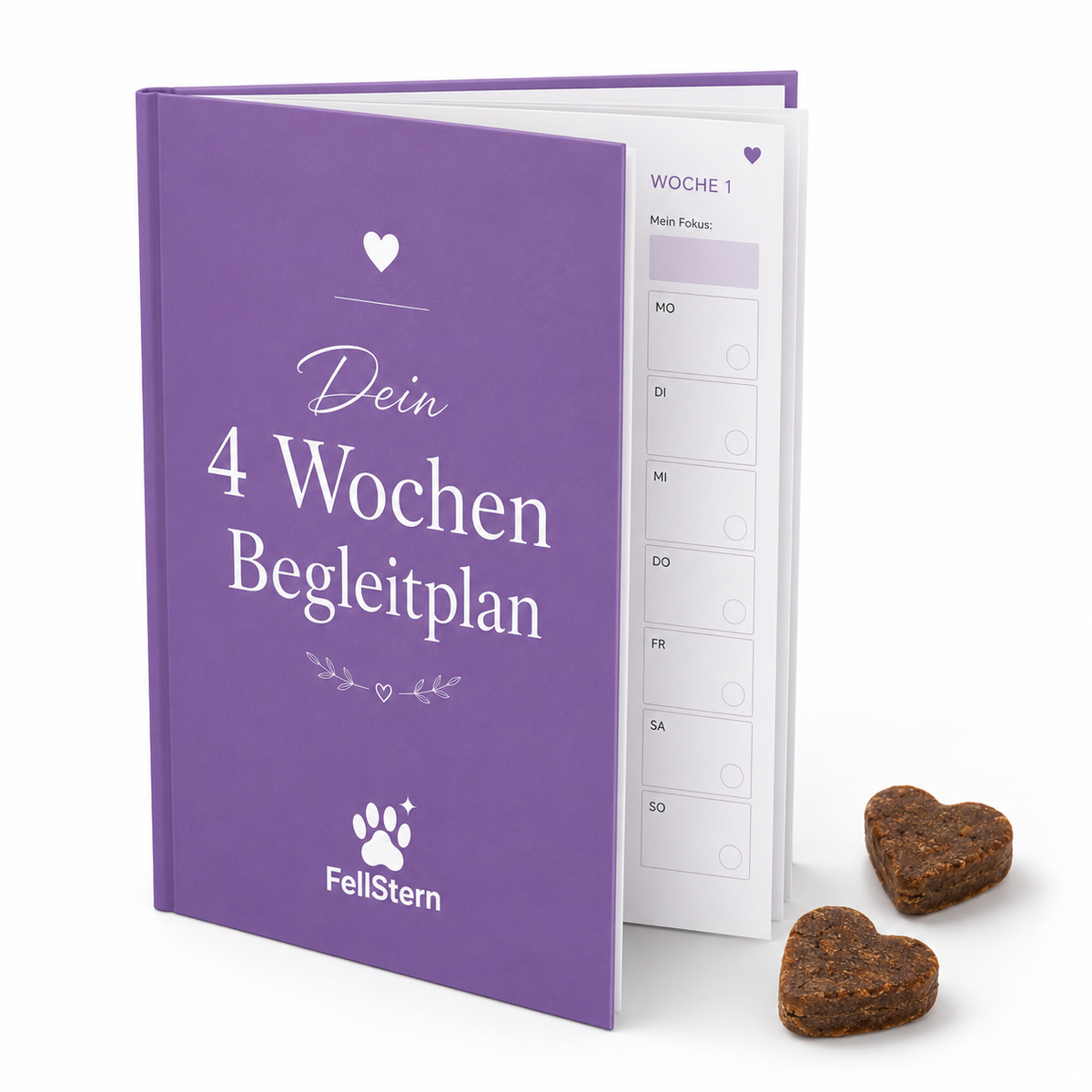Persönlicher 4-Wochen-Begleitplan