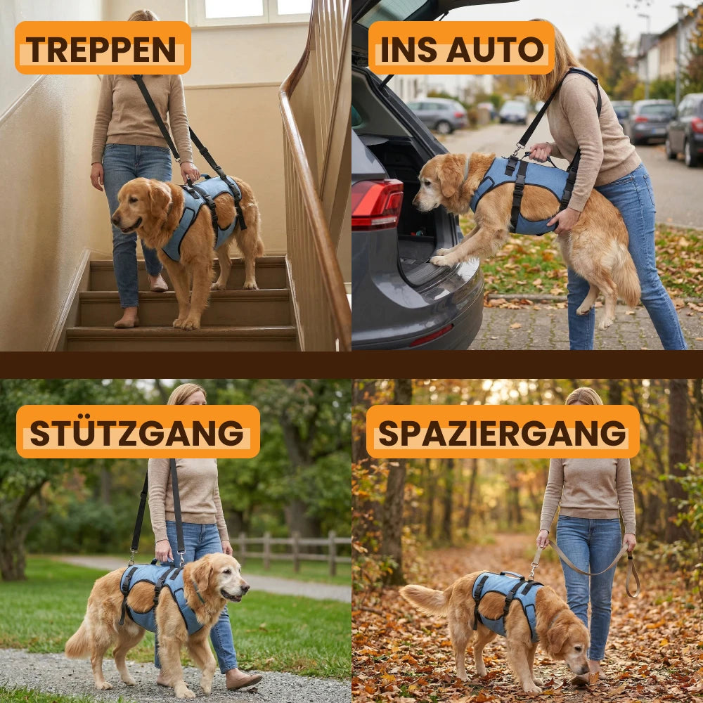 Mobilitätsgeschirr