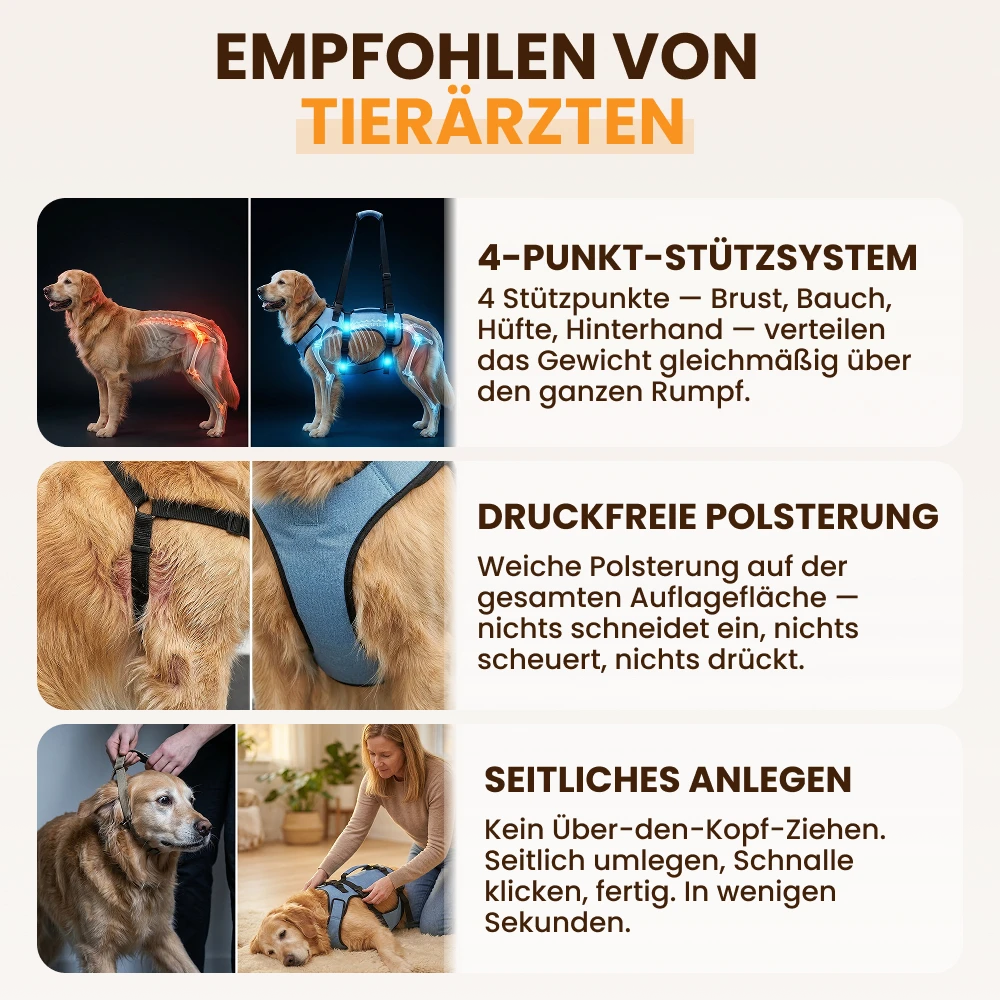 Mobilitätsgeschirr