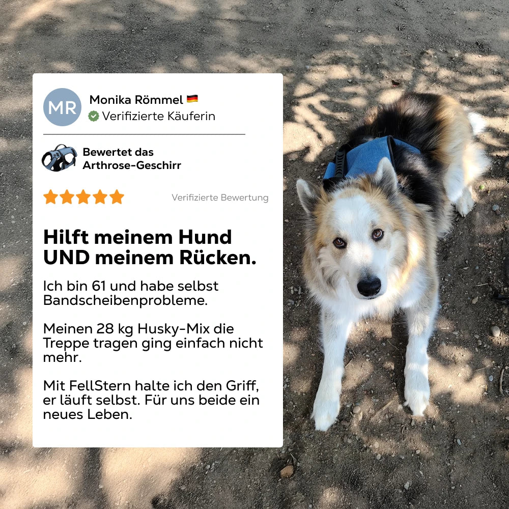 Mobilitätsgeschirr