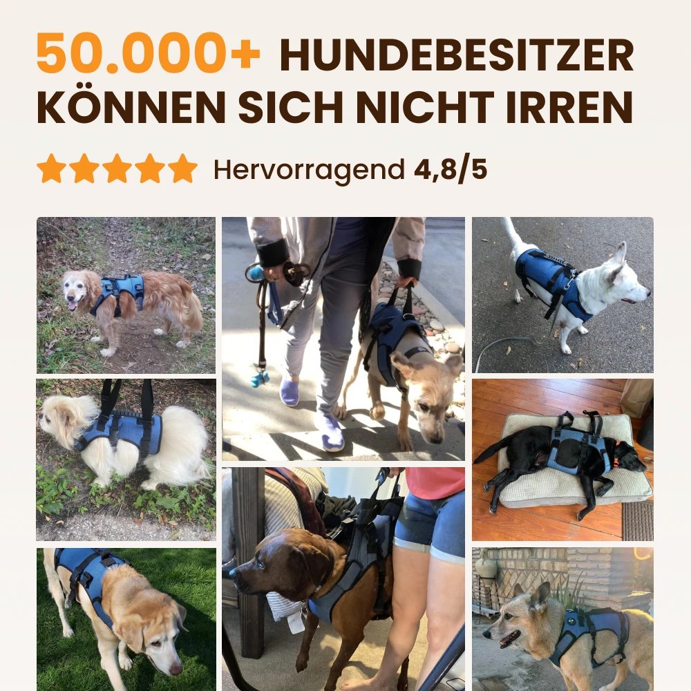 Mobilitätsgeschirr