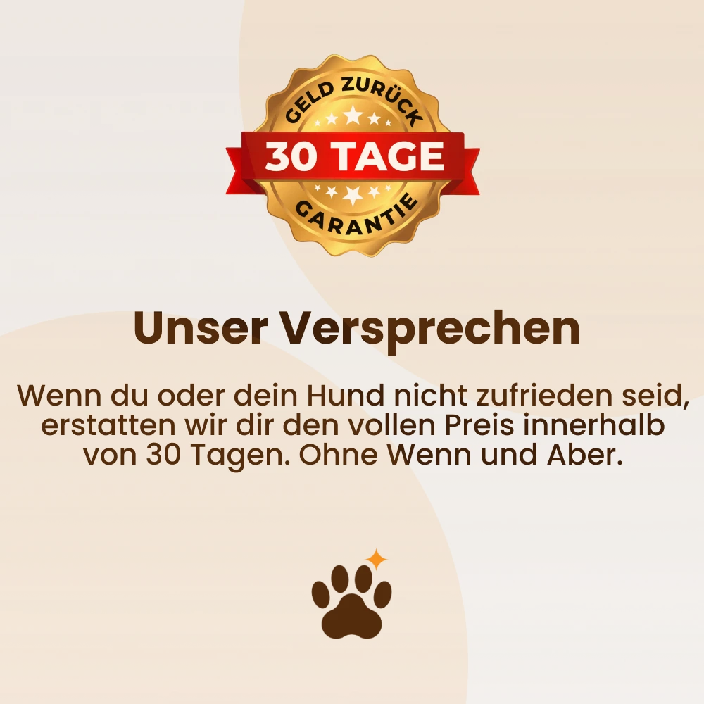 Mobilitätsgeschirr