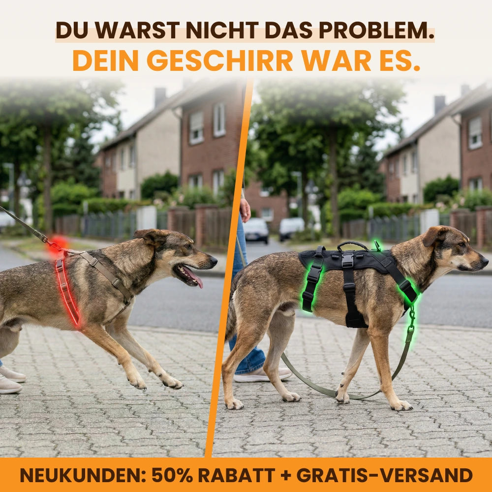 Anti-Zieh-Sicherheitsgeschirr