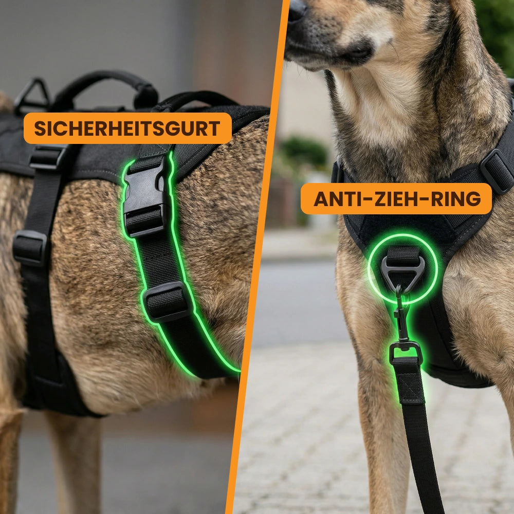 Anti-Zieh-Sicherheitsgeschirr