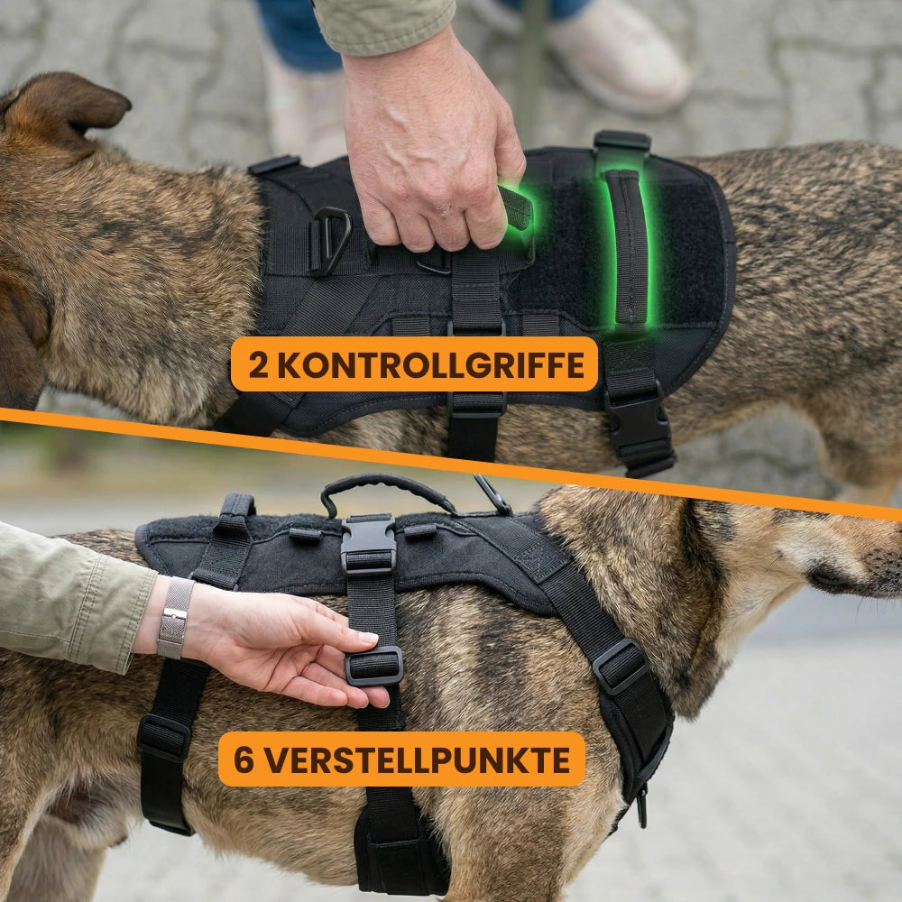 Anti-Zieh-Sicherheitsgeschirr