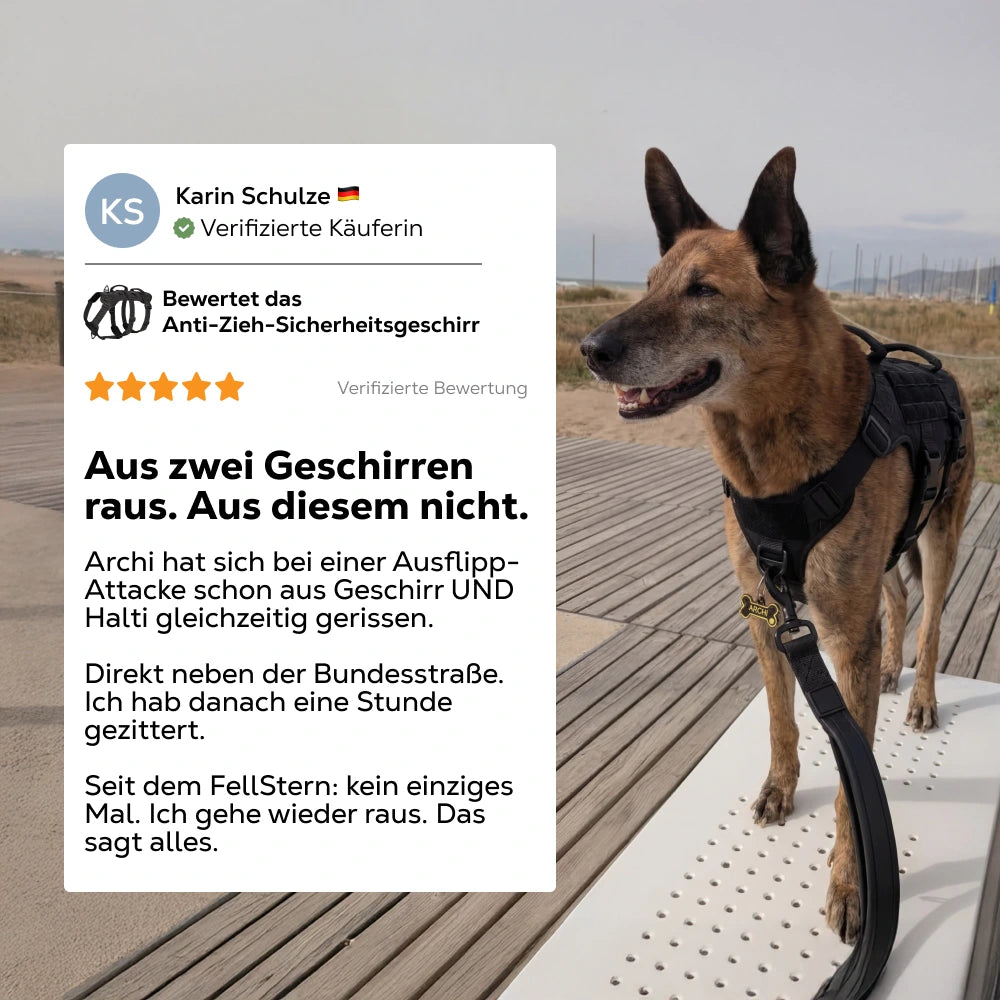 Anti-Zieh-Sicherheitsgeschirr