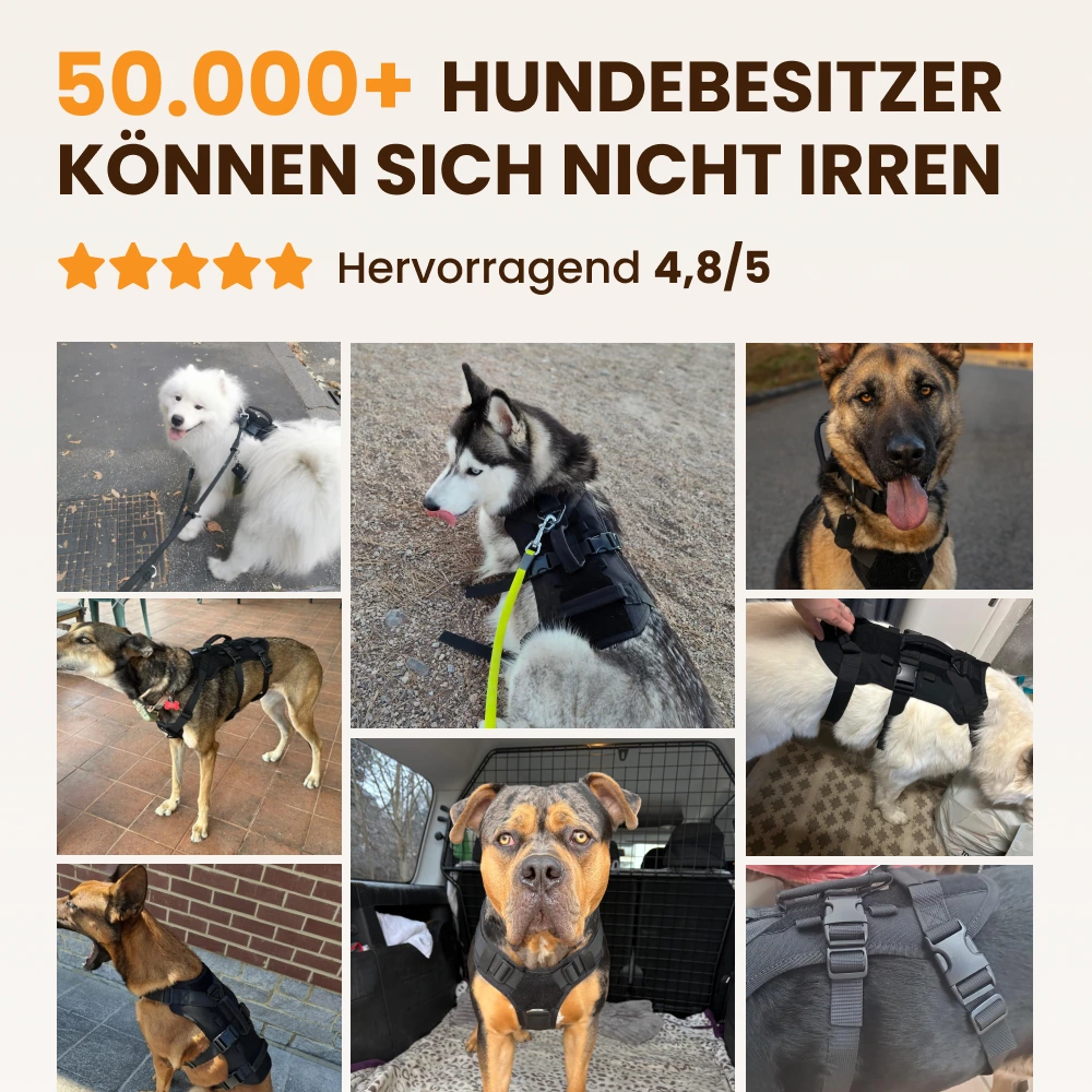 Anti-Zieh-Sicherheitsgeschirr