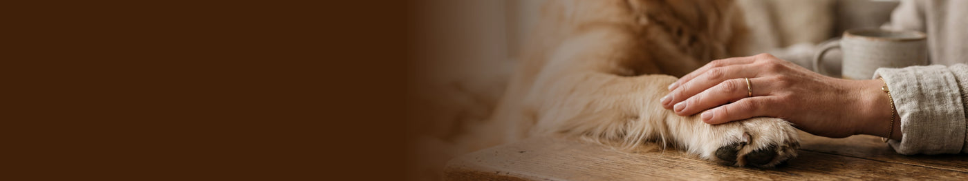 FAQ / Häufige Fragen