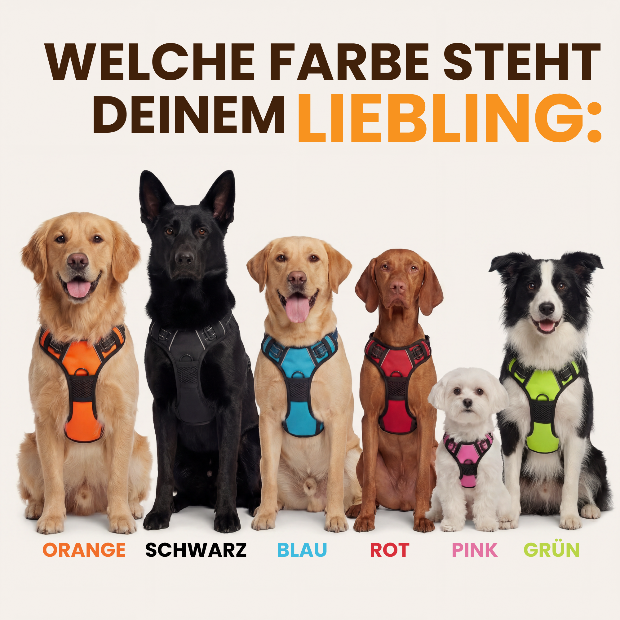 Anti-Zieh-Geschirr
