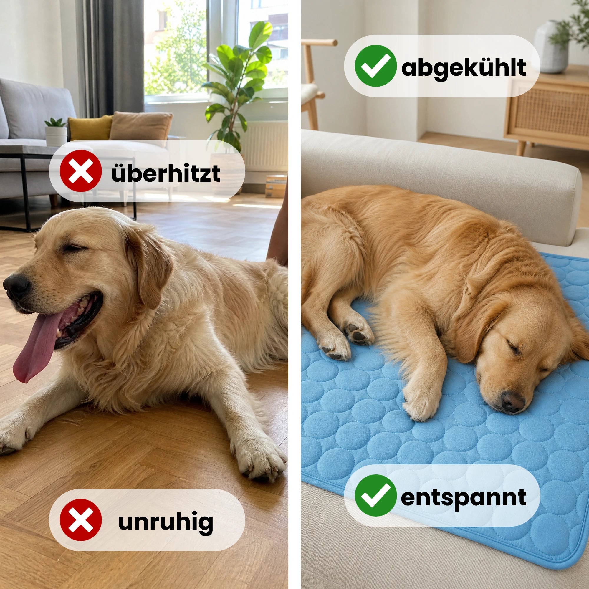 FellStern Kühlmatte