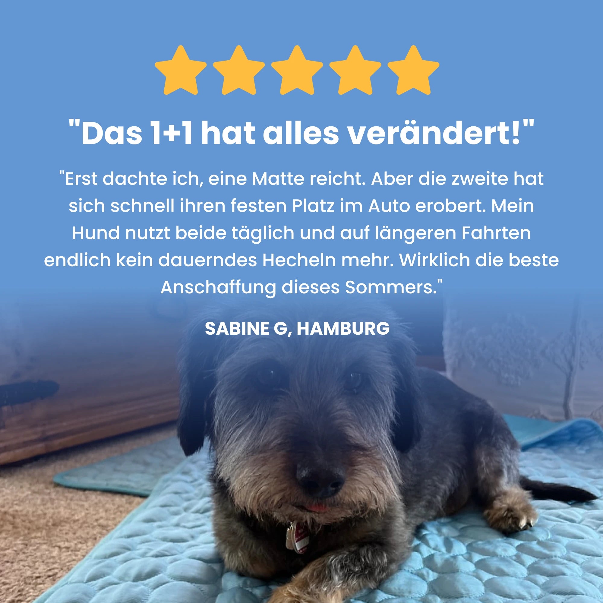 FellStern Kühlmatte