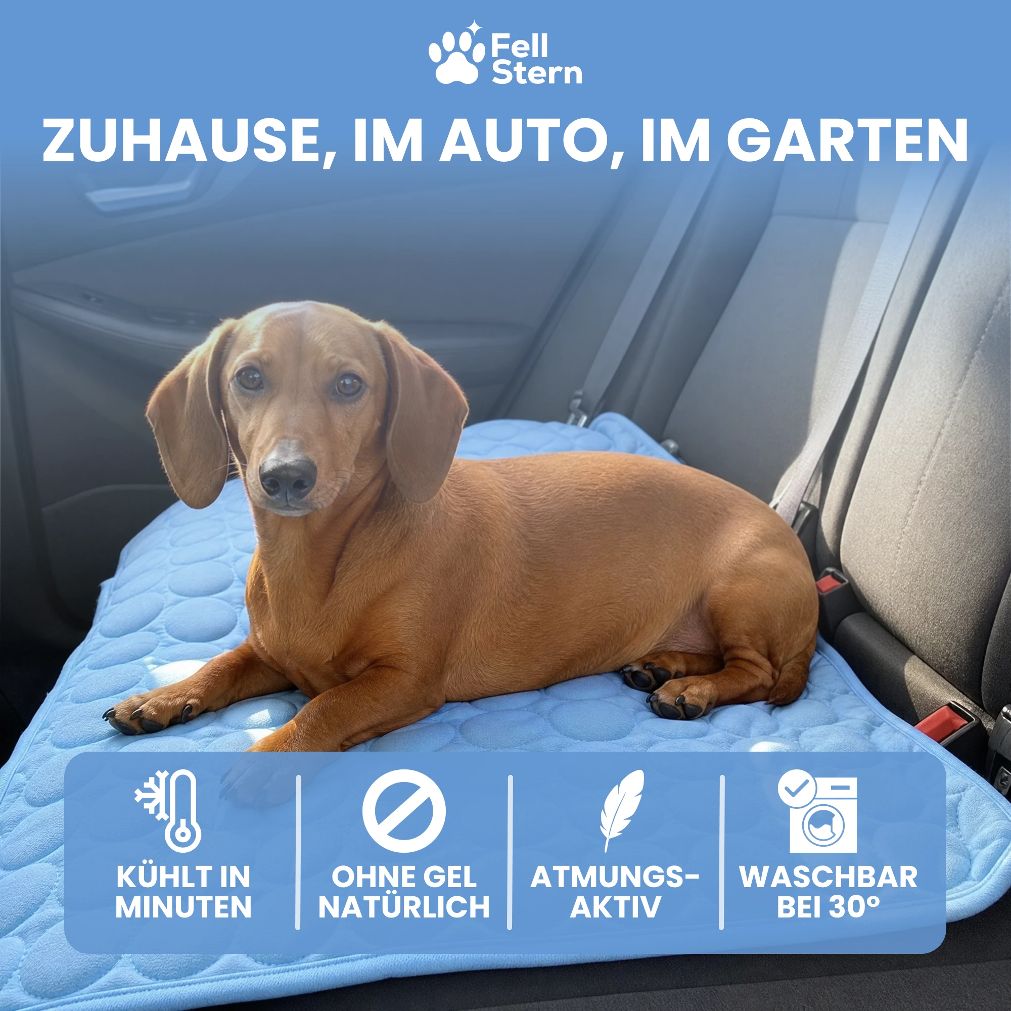 FellStern Kühlmatte
