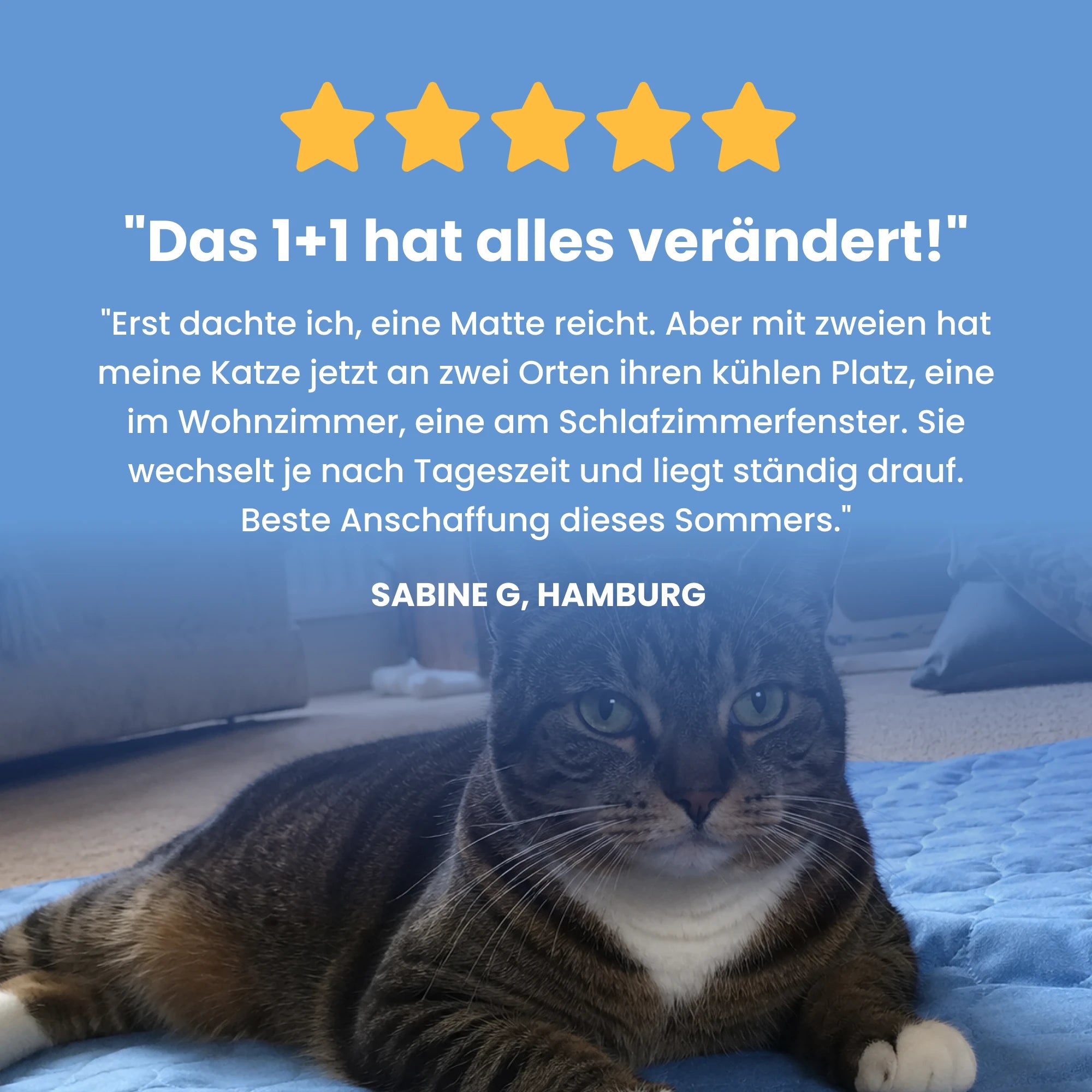 FellStern Kühlmatte für Katzen