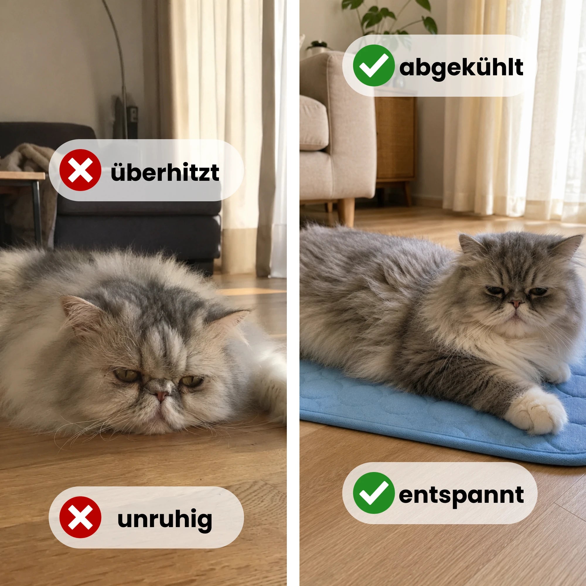 FellStern Kühlmatte für Katzen