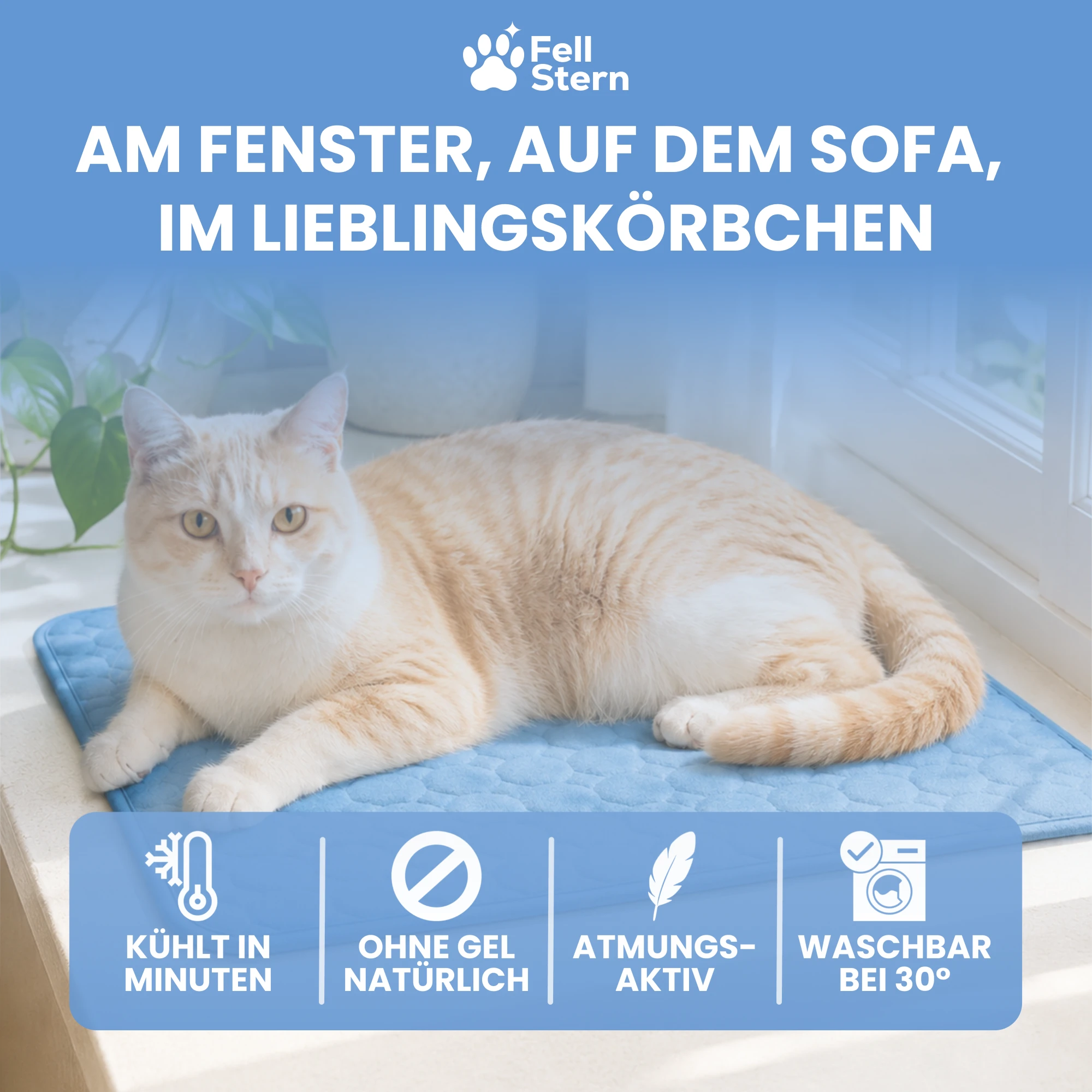 FellStern Kühlmatte für Katzen