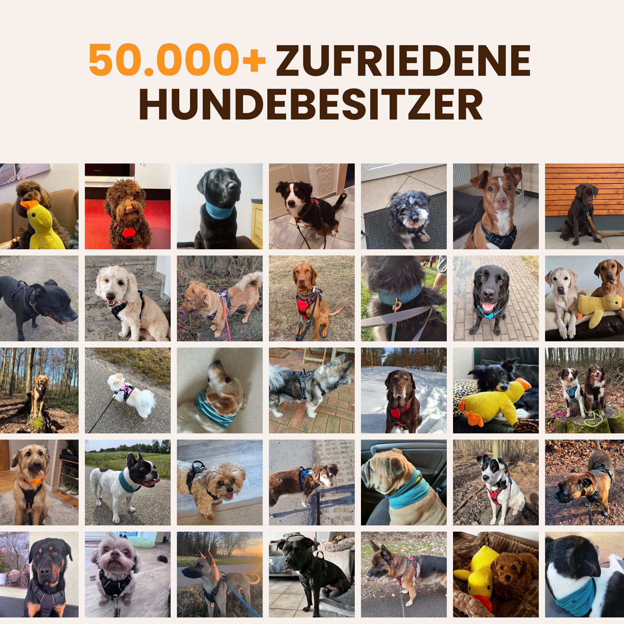 Kühlhalstuch