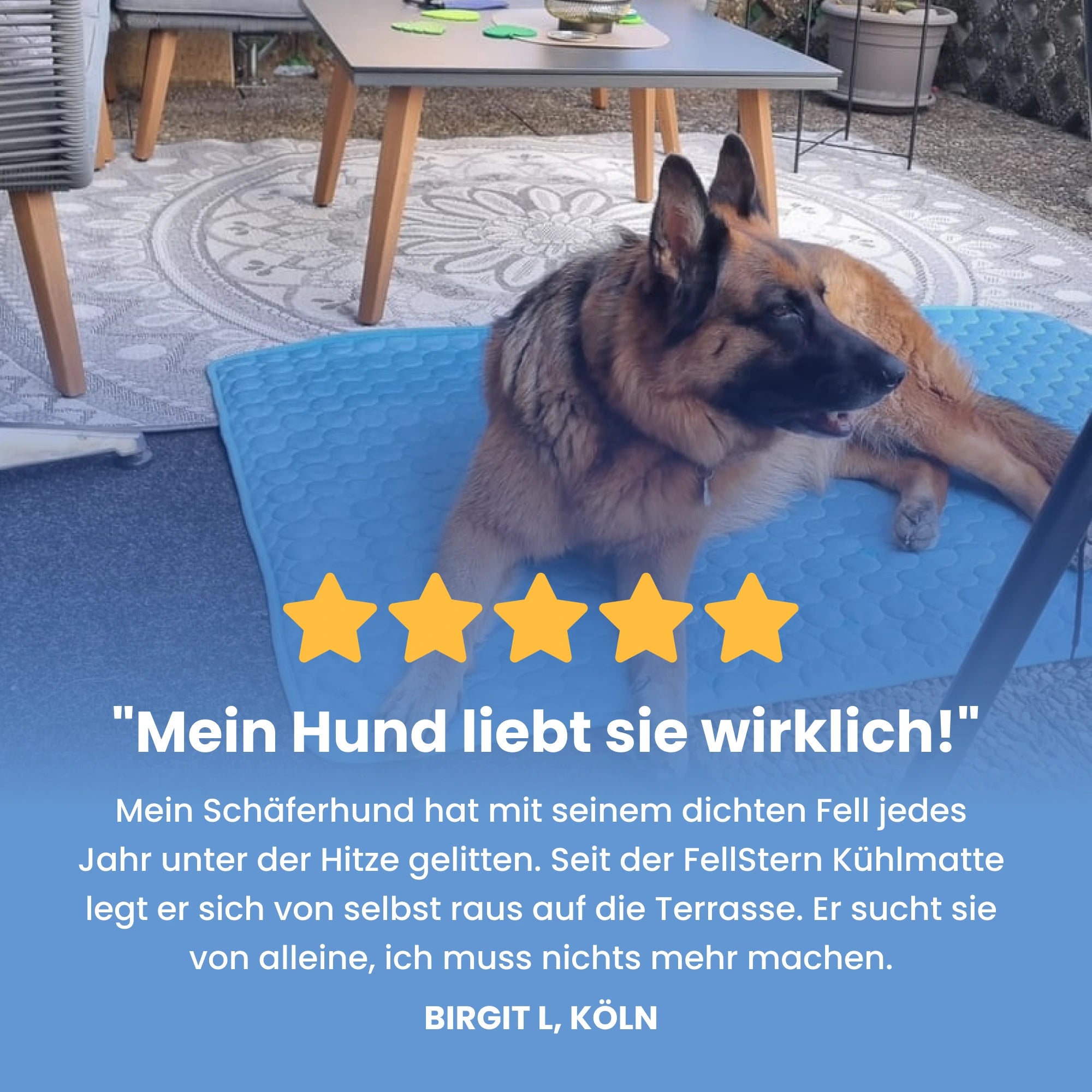 FellStern Kühlmatte