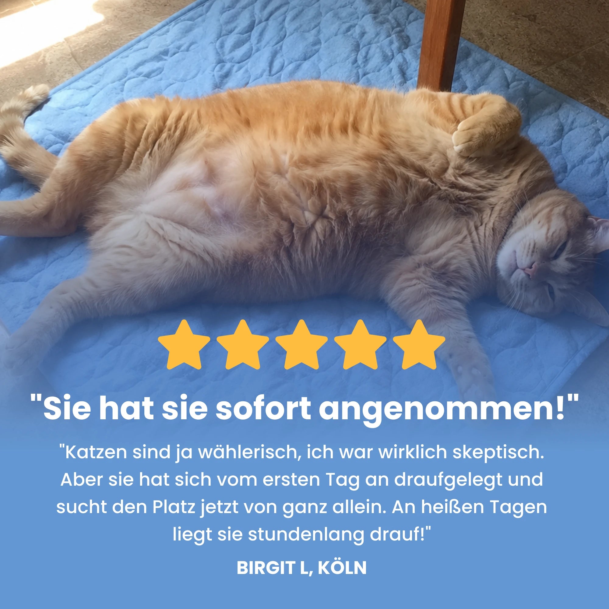 FellStern Kühlmatte für Katzen