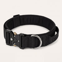 Taktisches Hundehalsband